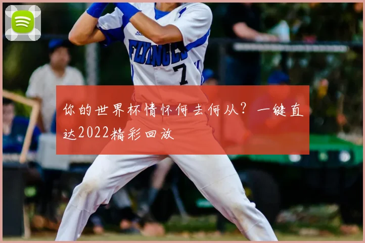 你的世界杯情怀何去何从?一键直达2022精彩回放