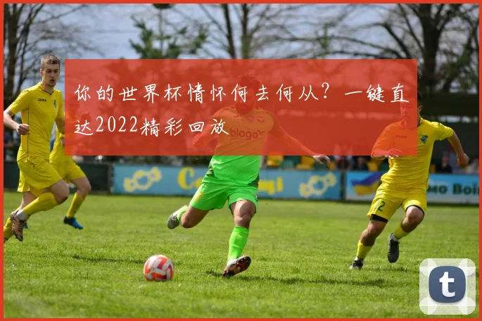 你的世界杯情怀何去何从?一键直达2022精彩回放