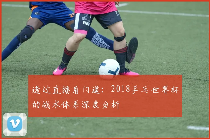 透过直播看门道：2018乒乓世界杯的战术体系深度分析