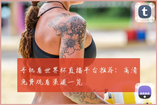 手机看世界杯直播平台推荐:高清免费观看渠道一览