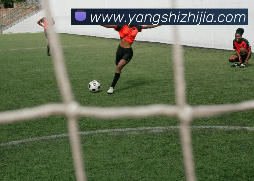 星空官方网站平台APP 高清赛事图